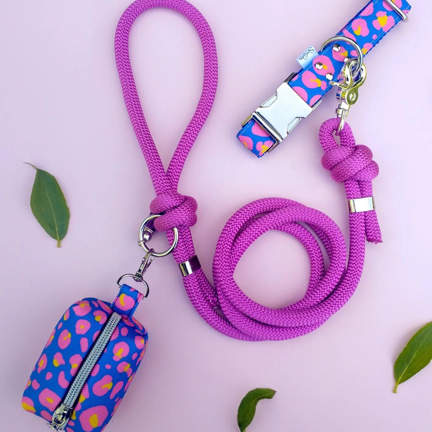 Collier Chien