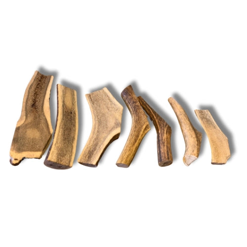 Bois de cerf en tranche le Cocon de Cesar