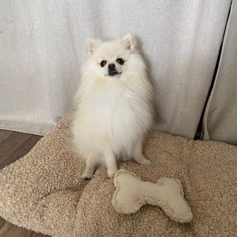 Coussin pour chien
