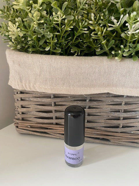 Parfums - Puppy