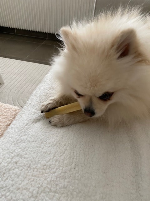 Barre de fromage le Cocon de Cesar