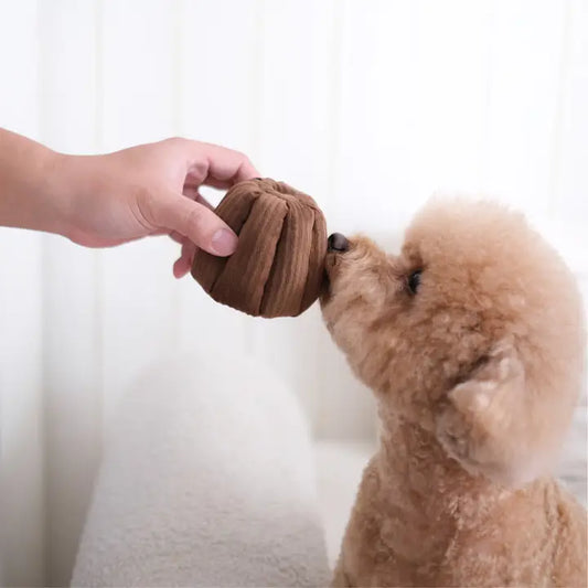 Le Canelé