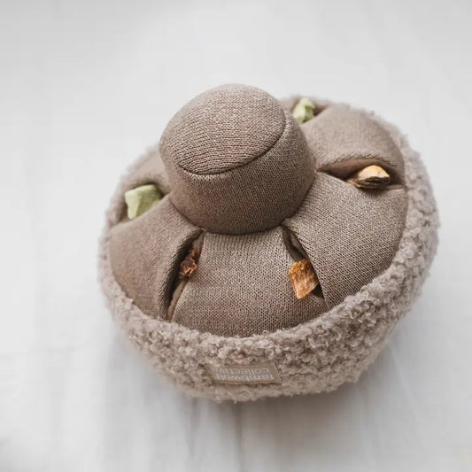 Le champignon
