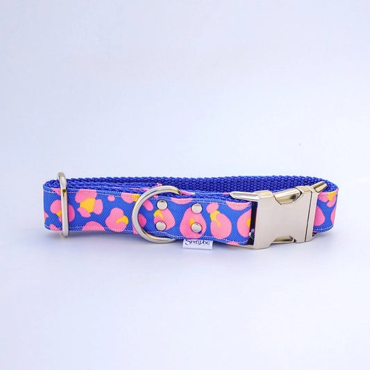 Collier Chien