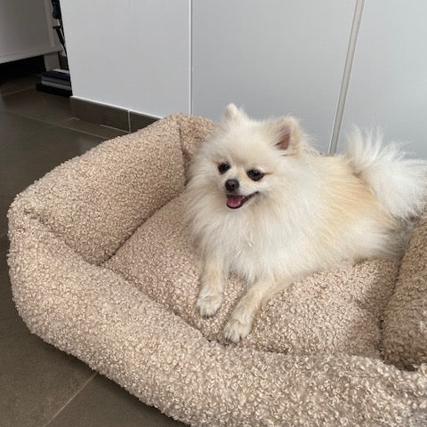 Lit pour chien beige, Snozy