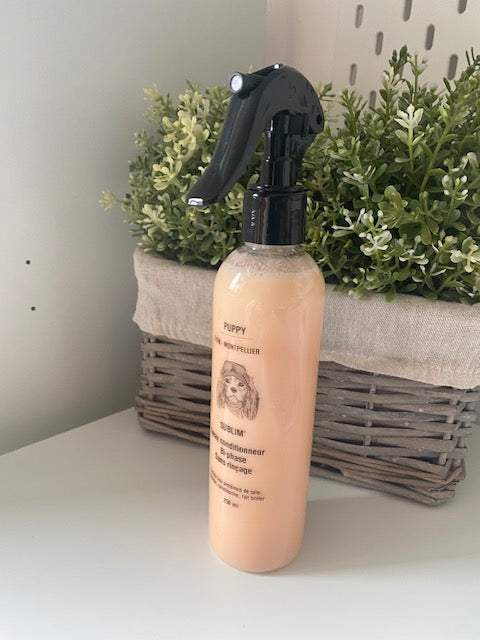 Spray conditionneur bi. phase