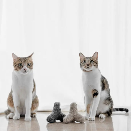 Jouet pour Chat