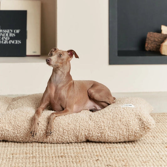 Coussin pour chien