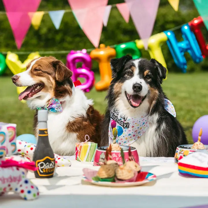 Cupcake party